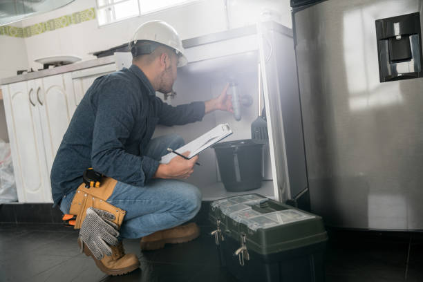 Best Plumbing Services Near Me  in Lauderdale, MN